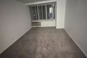 211 E Ohio St, Chicago, IL 60611 - Photo 9