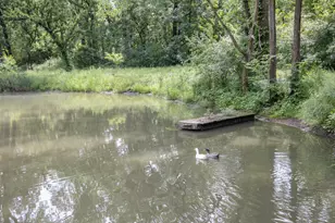 11N226 Peplow Rd, Hampshire, IL 60140 - Photo 35