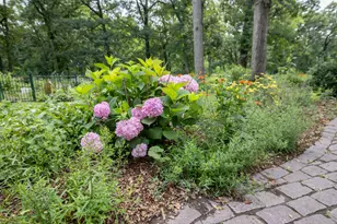 11N226 Peplow Rd, Hampshire, IL 60140 - Photo 39