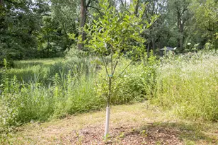 11N226 Peplow Rd, Hampshire, IL 60140 - Photo 41