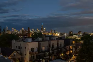 1035 N Hermitage Ave, Chicago, IL 60622 - Photo 31