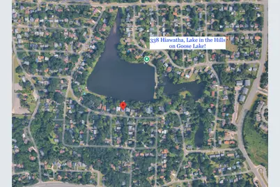 338 Hiawatha Drive, Lake in the Hills, IL 60156 - Photo 47