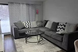 6050 Lake Bluff Dr, Tinley Park, IL 60477 - Photo 3