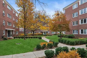 7206 Oak Ave, River Forest, IL 60305 - Photo 1