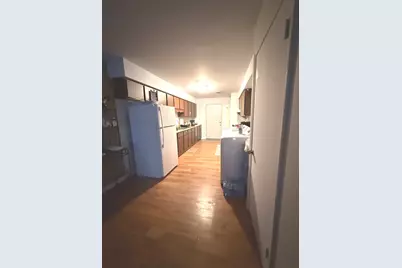 161 S Will Road, Braidwood, IL 60408 - Photo 7