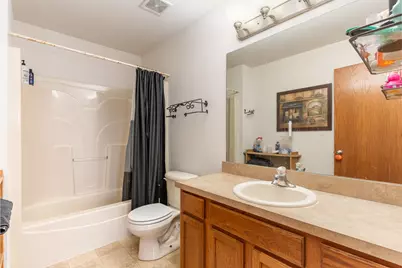 25308 S Mallard Drive, Channahon, IL 60410 - Photo 17