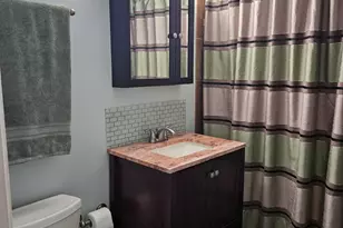 603 E Falcon Dr, Arlington Heights, IL 60005 - Photo 13