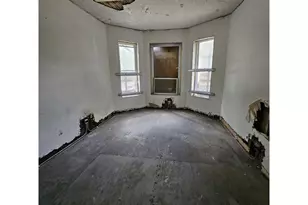 925 S Springfield Ave, Chicago, IL 60624 - Photo 3