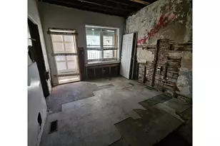 925 S Springfield Ave, Chicago, IL 60624 - Photo 9