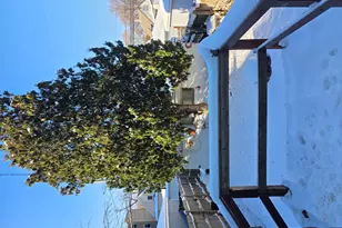 4310 N Central Park Ave, Chicago, IL 60618 - Photo 11