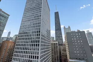 880 N Lake Shore Dr, Chicago, IL 60611 - Photo 27