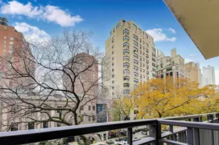 1350 N Astor St, Chicago, IL 60610 - Photo 19