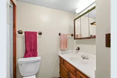 15742 Moody Road, Oak Lawn, IL 61943 - Photo 15