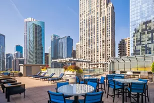 [Address not provided], Chicago, IL 60611 - Photo 11