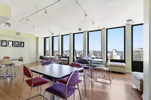 100 E Walton Pl, Chicago, IL 60611 - Photo 19