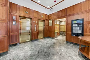 100 E Walton Pl, Chicago, IL 60611 - Photo 3