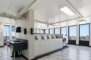 100 E Walton Pl, Chicago, IL 60611 - Photo 21