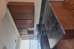 820 E 44th St, Chicago, IL 60653 - Photo 3