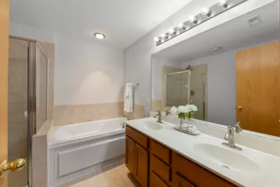 253 Nicole Drive #E, South Elgin, IL 60177 - Photo 13