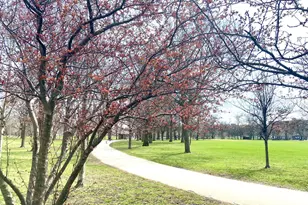 3638 S Western Ave, Chicago, IL 60609 - Photo 33