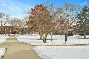 1501 E Churchill Dr, Palatine, IL 60074 - Photo 23