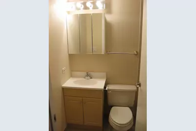 429 Pacific Court, Wheeling, IL 60090 - Photo 13