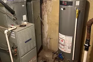 315 E 87th St, Chicago, IL 60619 - Photo 11