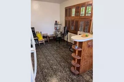 315 E 87th Street, Chicago, IL 60619 - Photo 7