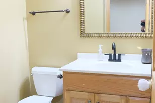 3408 Parliament Ln, Naperville, IL 60564 - Photo 43