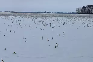 0 E 2nd St, Tampico, IL 61283 - Photo 3