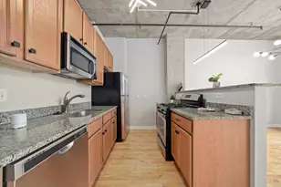 50 E 16th St, Chicago, IL 60616 - Photo 11