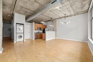 50 E 16th St, Chicago, IL 60616 - Photo 7