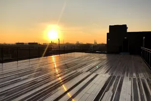 1432 W 21st St, Chicago, IL 60608 - Photo 7