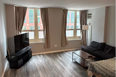 345 N La Salle Drive #509, Chicago, IL 60654 - Photo 3