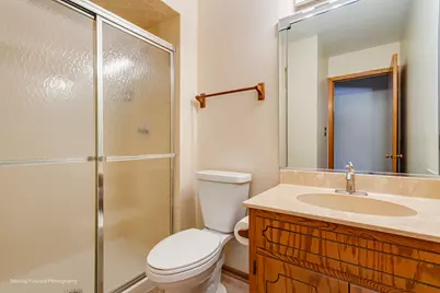 7709 W 158th Court, Orland Park, IL 60462 - Photo 17