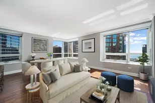 512 N McClurg Ct, Chicago, IL 60611 - Photo 3