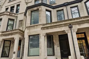 44 E Cedar St, Chicago, IL 60611 - Photo 1