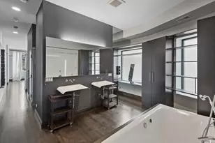 44 E Cedar St, Chicago, IL 60611 - Photo 25