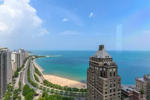 159 E Walton Pl, Chicago, IL 60611 - Photo 37