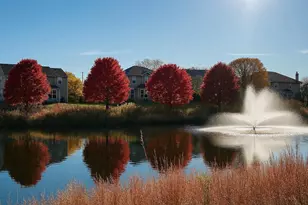 1103 Bayside Ln, Shorewood, IL 60404 - Photo 3