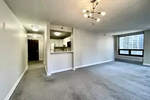 440 N Wabash Ave, Chicago, IL 60611 - Photo 9