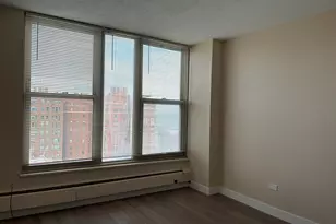 5401 S Hyde Park Blvd, Chicago, IL 60615 - Photo 11