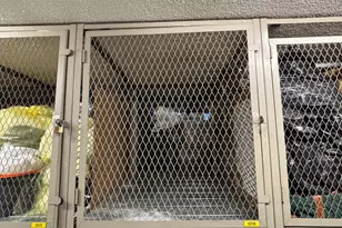 5401 S Hyde Park Blvd, Chicago, IL 60615 - Photo 21