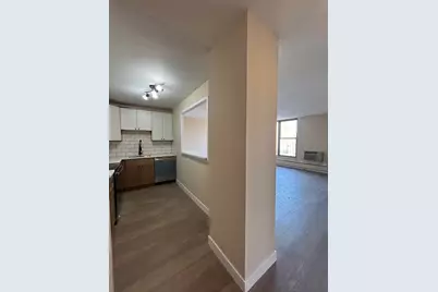 5401 S Hyde Park Boulevard #1206, Chicago, IL 60615 - Photo 3