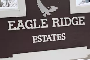 10551 Eagle Ridge Dr, Orland Park, IL 60467 - Photo 23