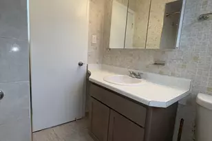3935 W 84th Pl, Chicago, IL 60652 - Photo 9