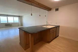 1440 N Lake Shore Dr, Chicago, IL 60610 - Photo 3