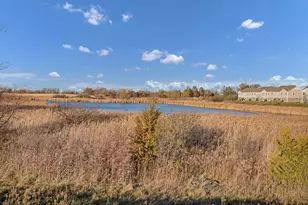 3202 Martini St, Mundelein, IL 60060 - Photo 29