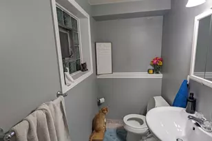 22W425 Arbor Ln, Glen Ellyn, IL 60137 - Photo 15