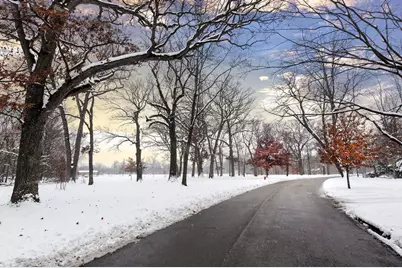 336 Fairbank Road, Riverside, IL 60546 - Photo 23